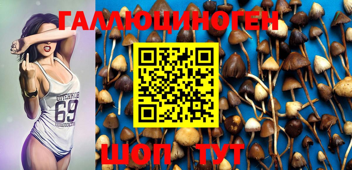 Галлюциногенные грибы ЛСД Верхняя Салда