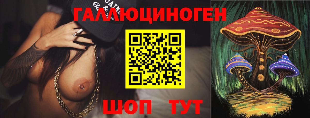 Галлюциногенные грибы Psilocybine cubensis  Псилоцибиновые грибы ЛСД  Верхняя Салда 